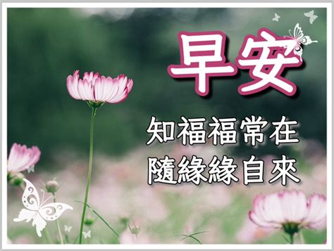 晚輩圖|長輩圖生成器